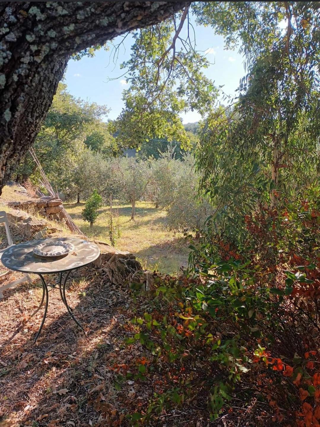 شقة Casa In Maremma مونتيميرانو المظهر الخارجي الصورة