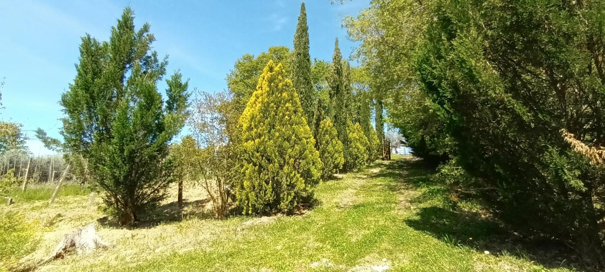 شقة Casa In Maremma مونتيميرانو المظهر الخارجي الصورة