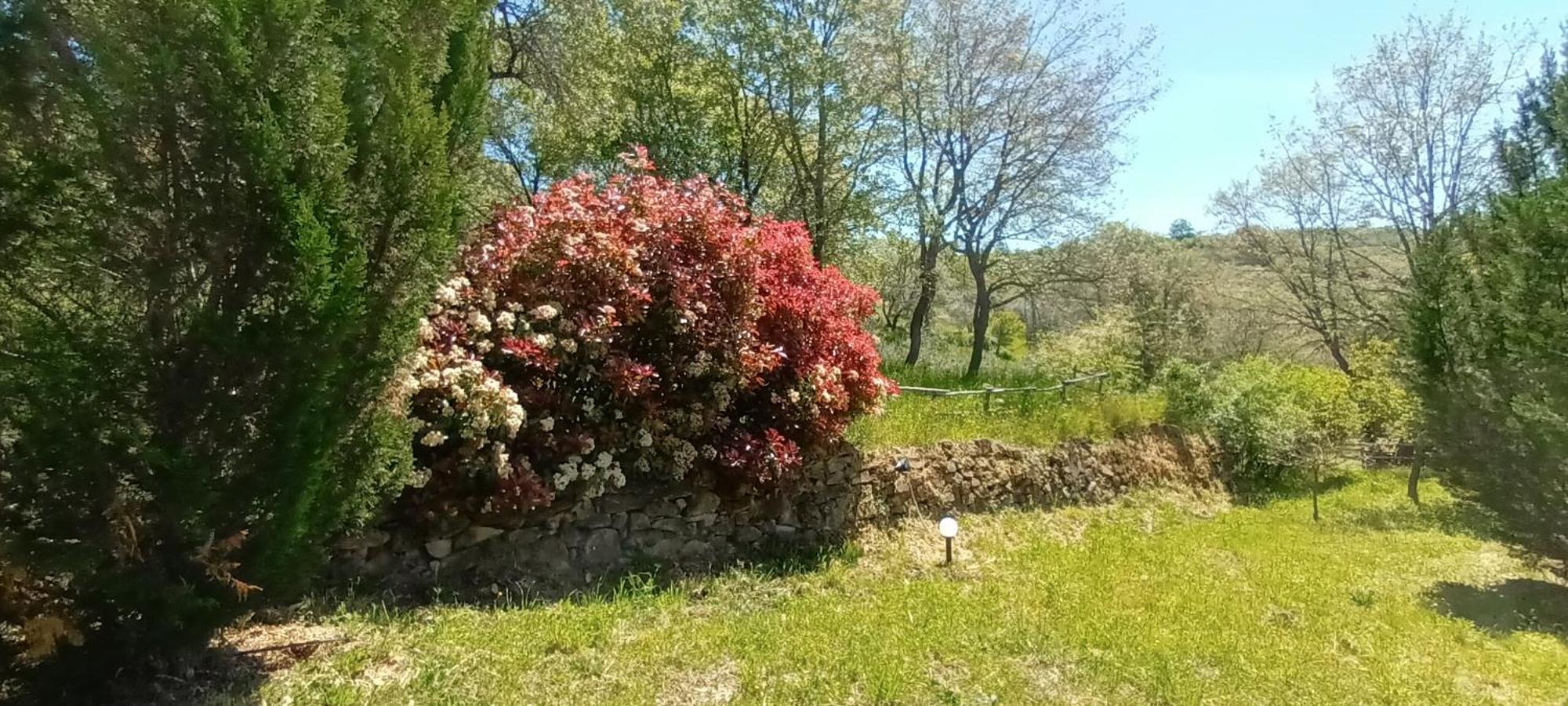 شقة Casa In Maremma مونتيميرانو المظهر الخارجي الصورة
