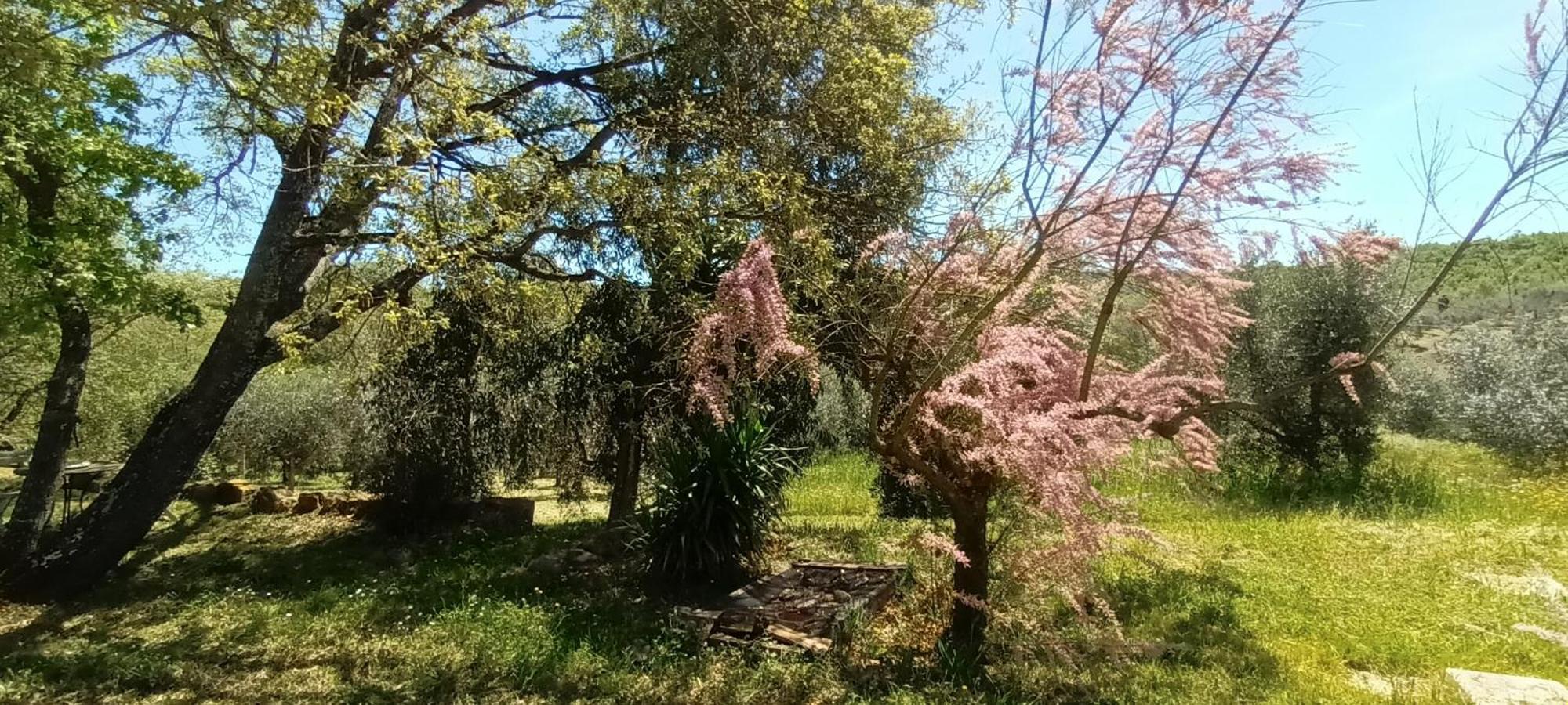 شقة Casa In Maremma مونتيميرانو المظهر الخارجي الصورة