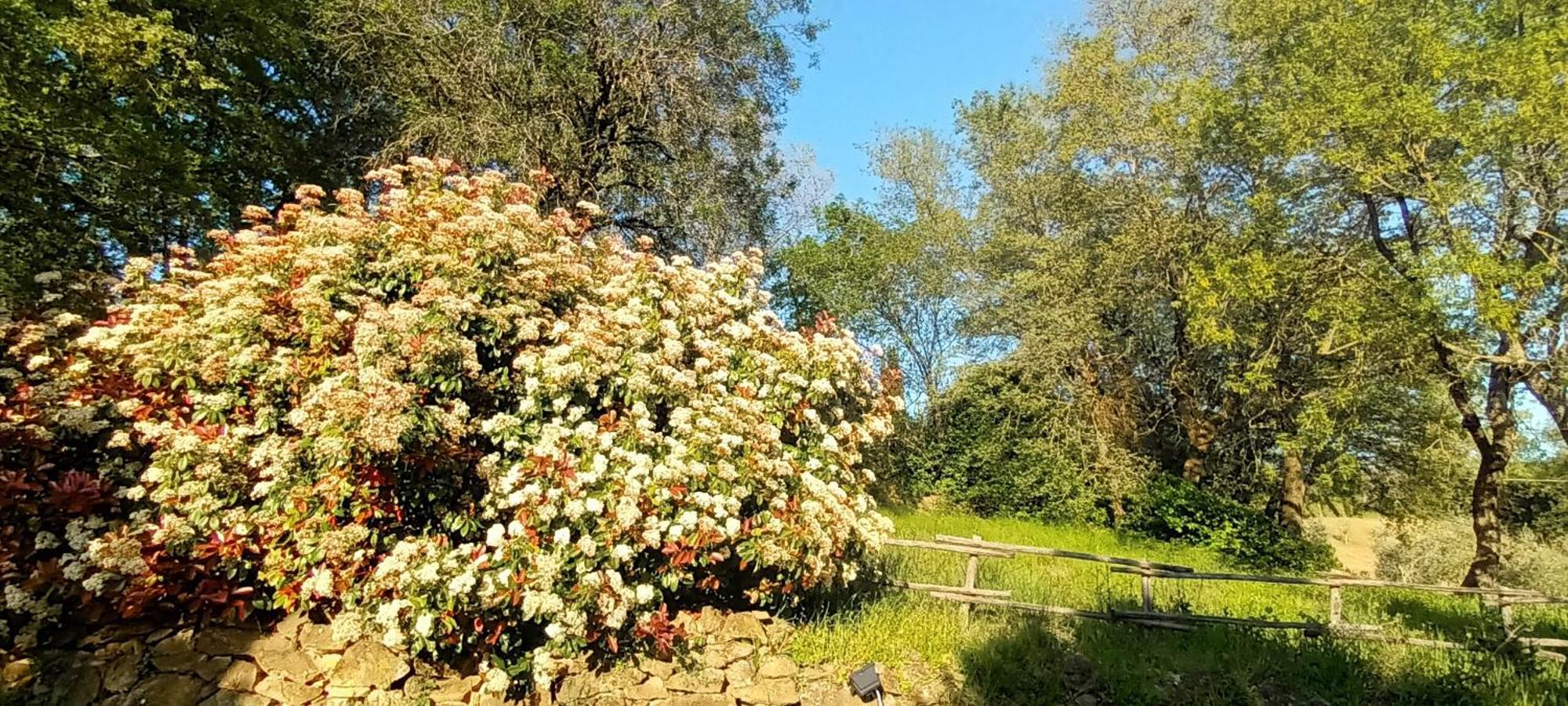 شقة Casa In Maremma مونتيميرانو المظهر الخارجي الصورة