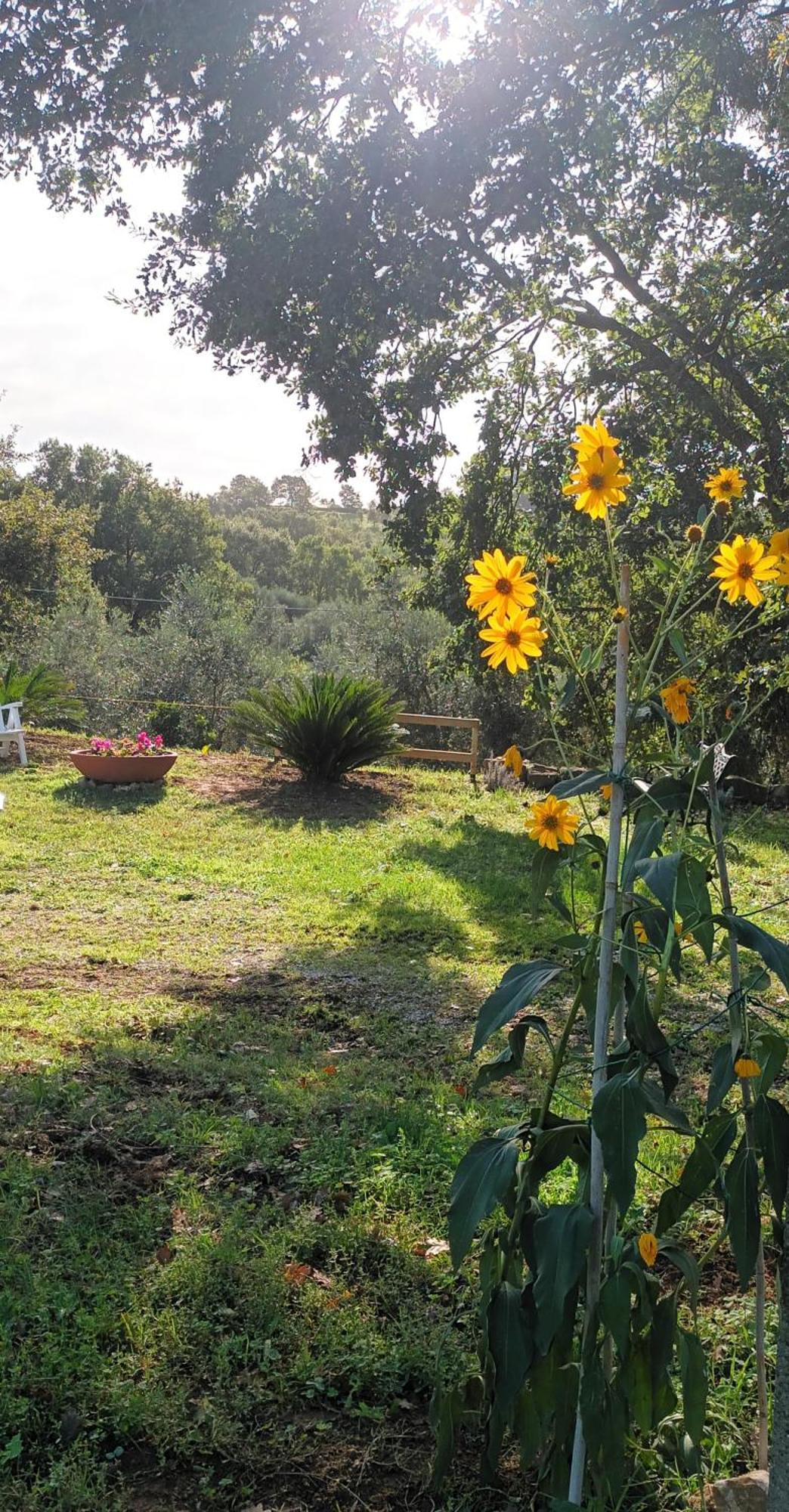 شقة Casa In Maremma مونتيميرانو المظهر الخارجي الصورة