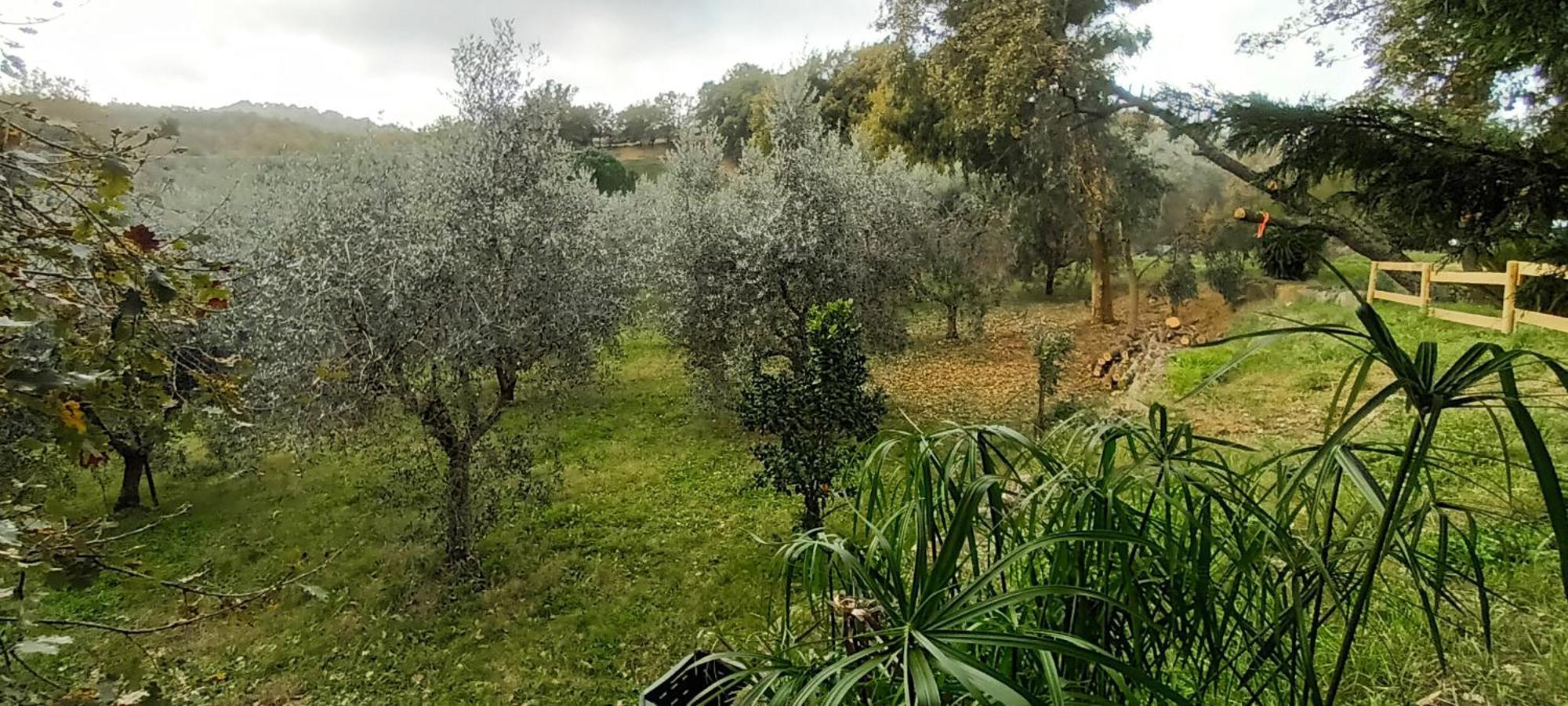 شقة Casa In Maremma مونتيميرانو المظهر الخارجي الصورة